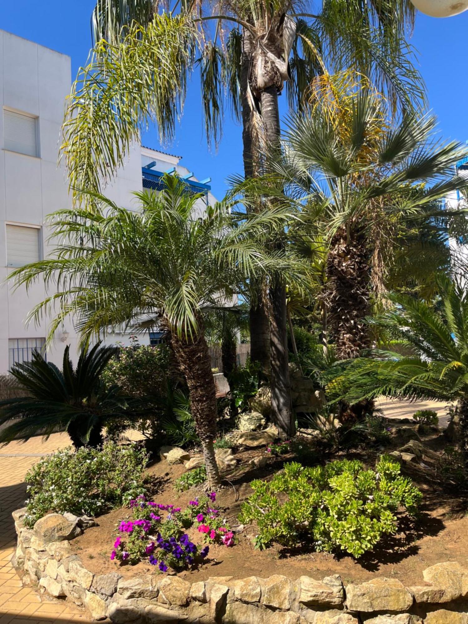 Apartamento En Costa Ballena, Urb. Playa Ballena كاديز المظهر الخارجي الصورة